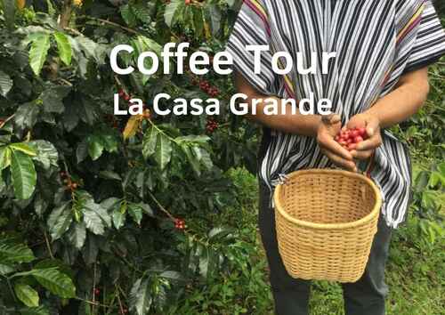 Coffee Tour La Casa Grande Medellín