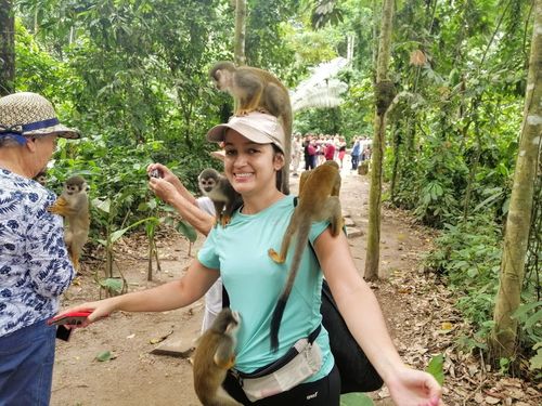 Imagen de Excursiones al Amazonas