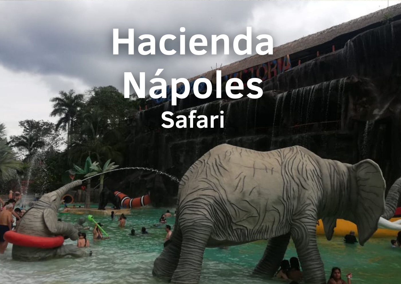 Tour Hacienda Nápoles Pasaporte Safari